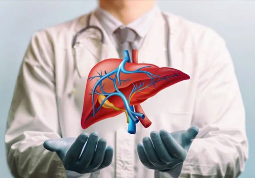 Liver Transplant