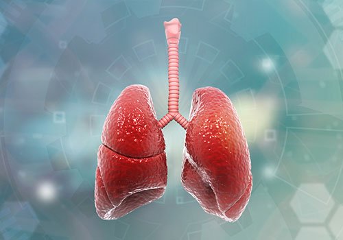 Pulmonology